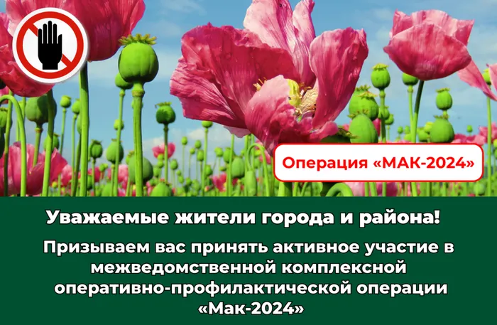 Мак 2024 СЭД 136
