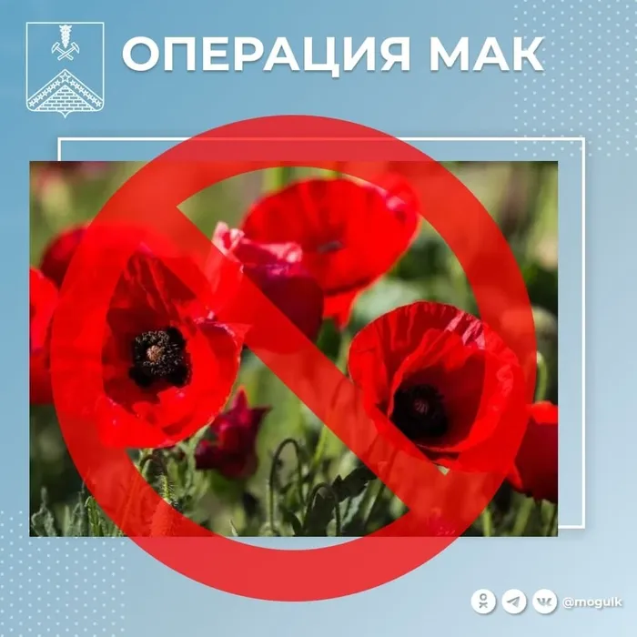 k_qkoJOH0ILBRznqKL13xYQTKBHx6qs0Q7mqKRxhToEIdgFDRCmWReZ6GO9L1csvqQKtOl9aqZJZF-2duQmQRqOG