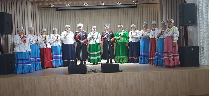 Вокально-хоровой ансамбль                     "Родные напевы"